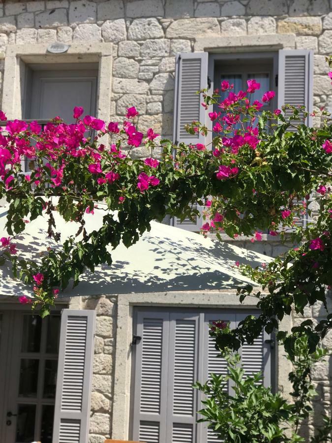 Hotel Cona Butik