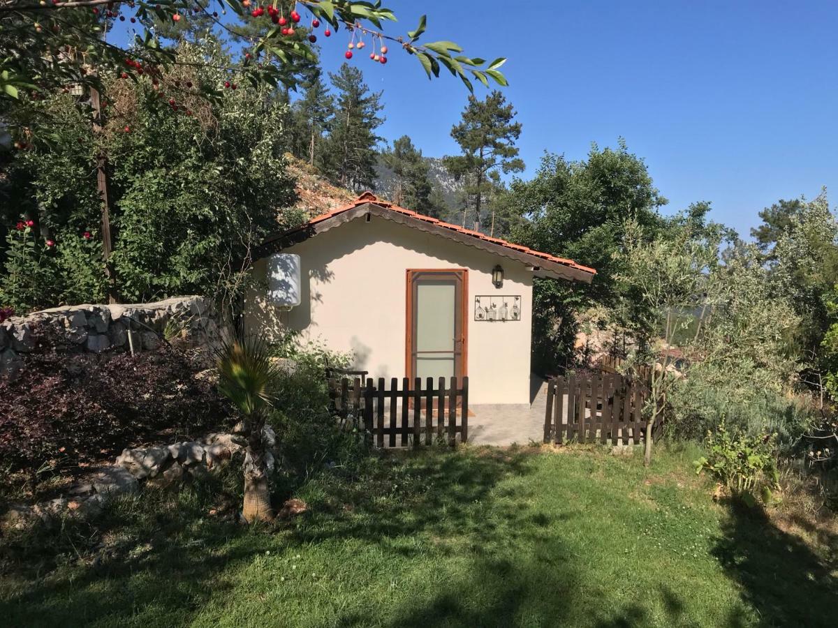 Lodge Olympos Mountain Beycik