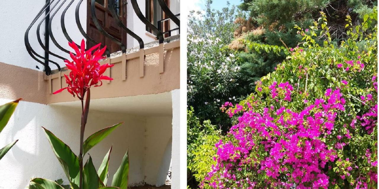 Hotel Lemon 3*