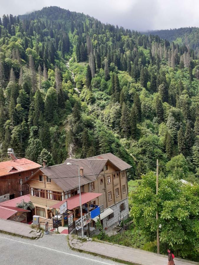 Aparthotel Delux Ayder Yaylasi
