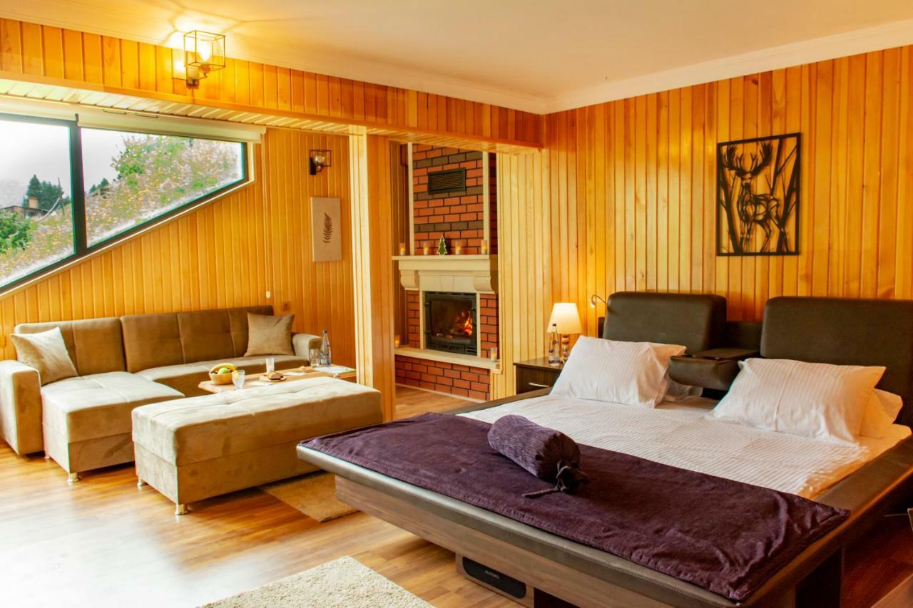 Hotel De Pelit