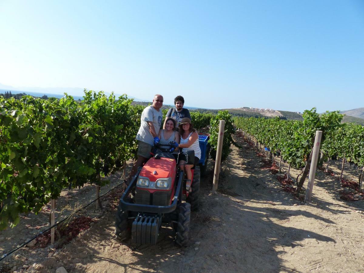 Vineyard Bed & Breakfast