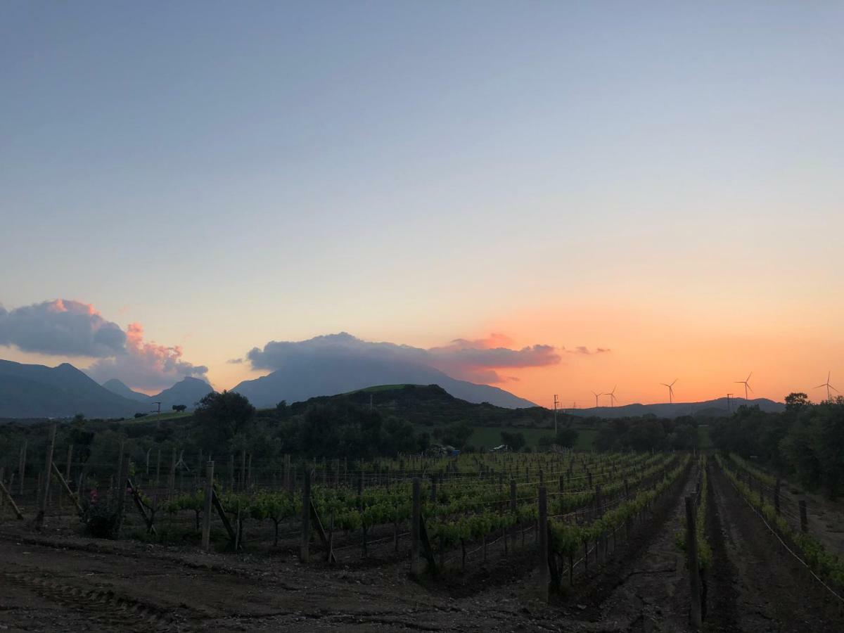 Bed & Breakfast Vineyard