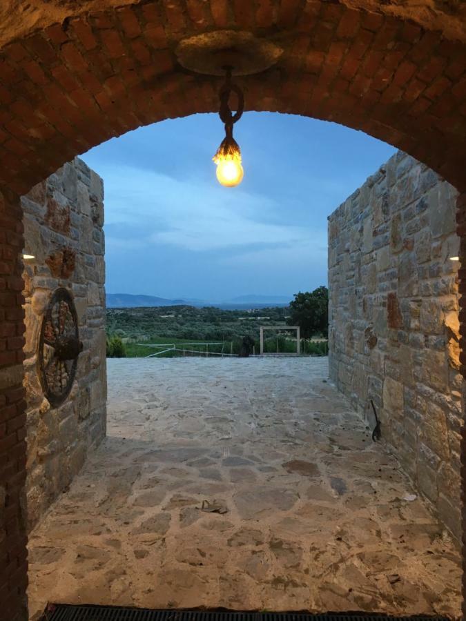 Vineyard Datca