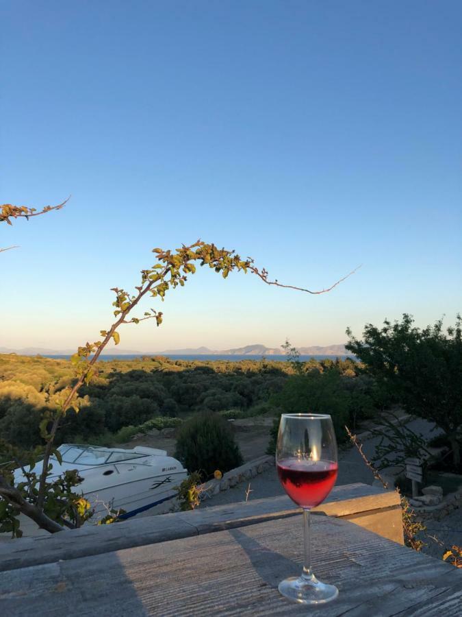 Vineyard Bed & Breakfast