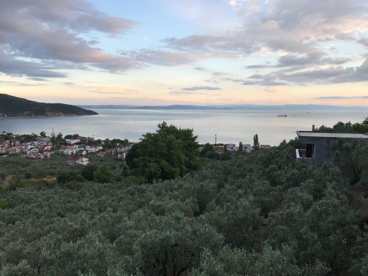 Yasemin Hotel