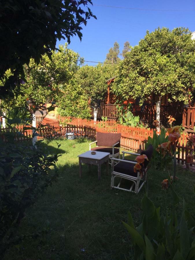 No:1281 Boutique Guest house