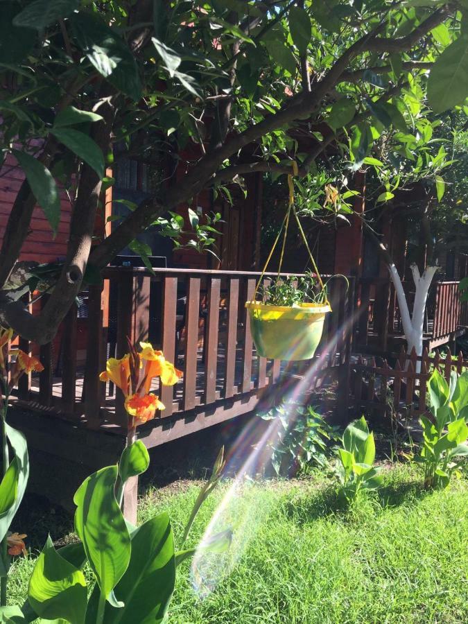 No:1281 Boutique Guest house Adrasan