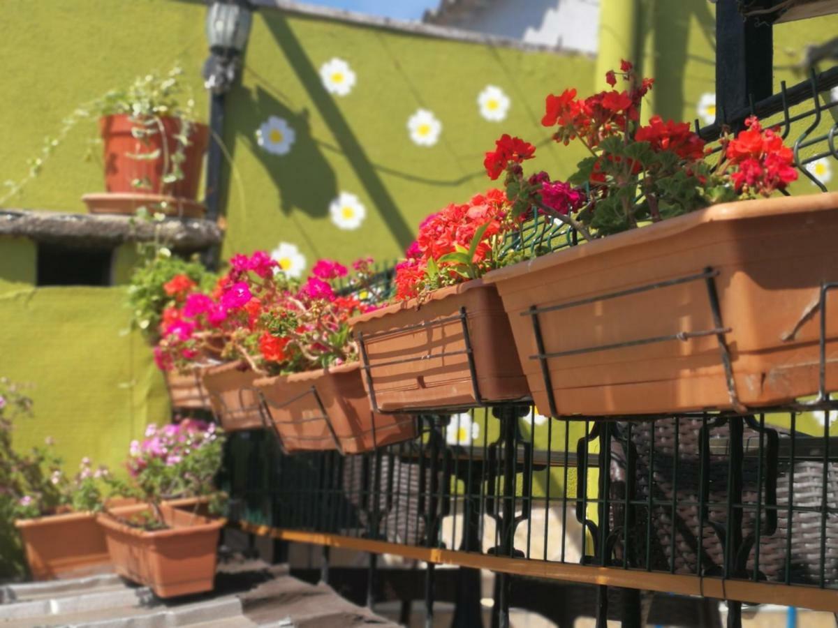 Marmara Homestay Istanbul