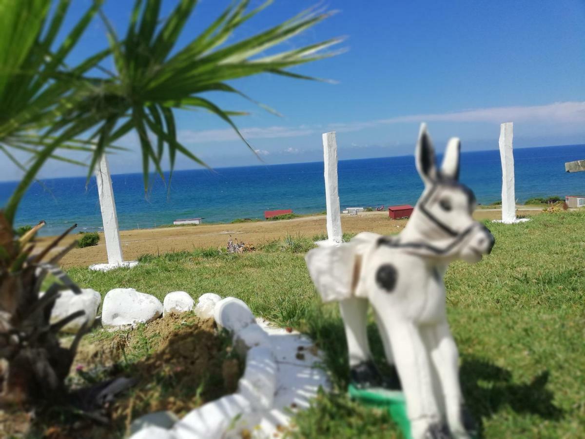 Perice * Sinop