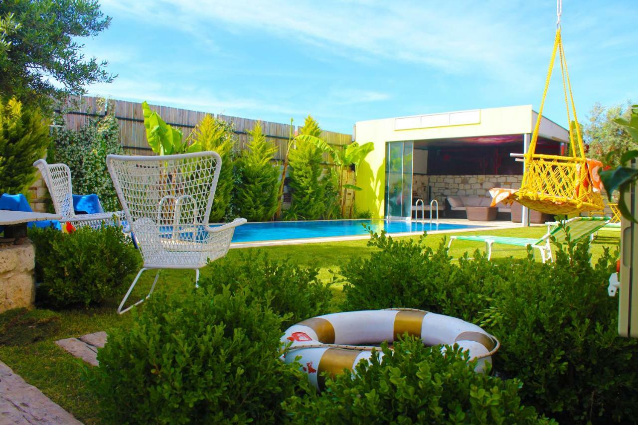 Hotel Viola (adults Only)