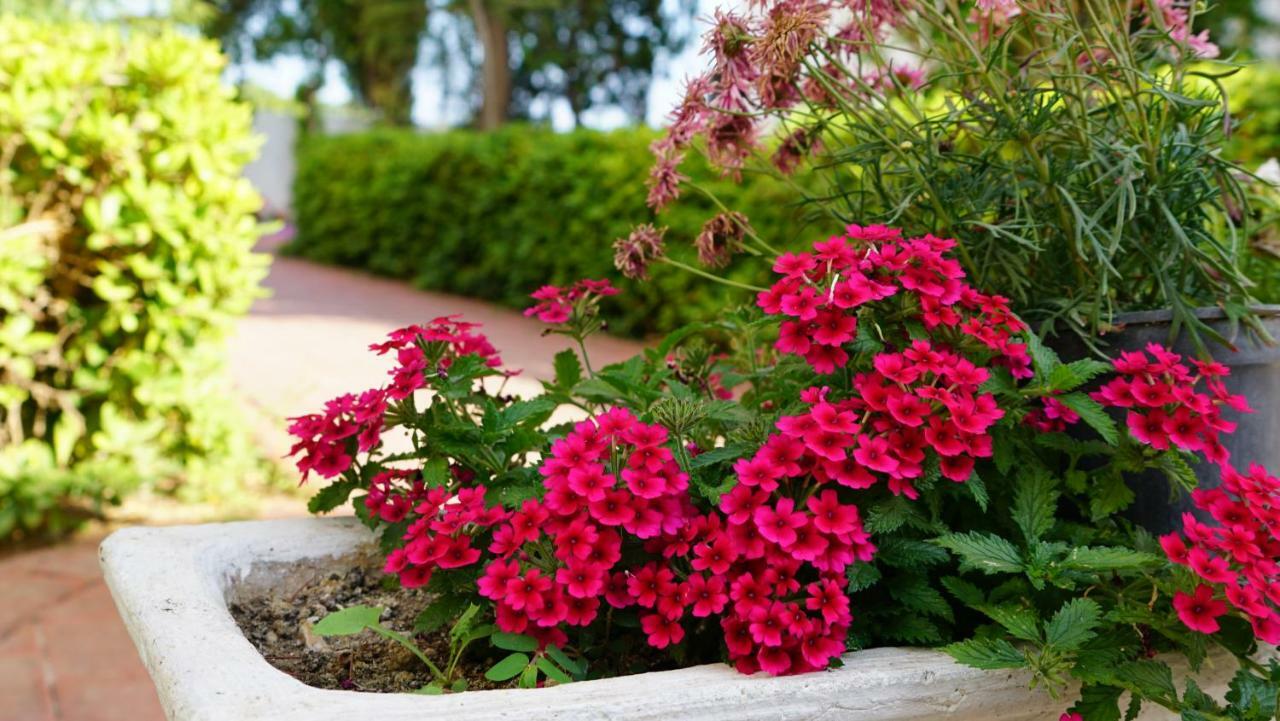 Irem Garden & 2*