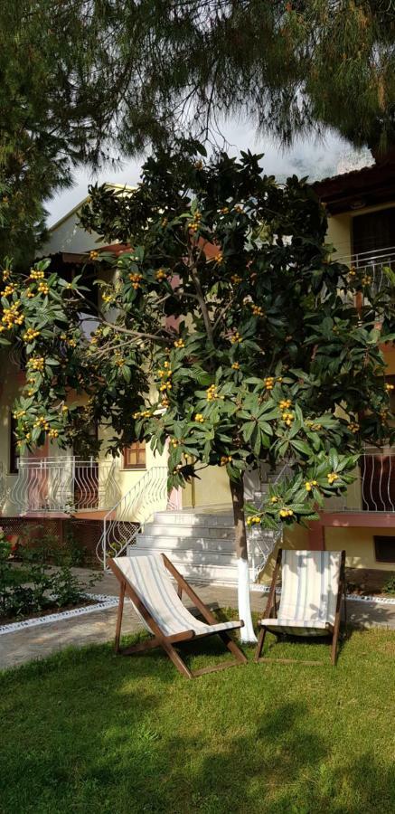 Hotel Ilkiz