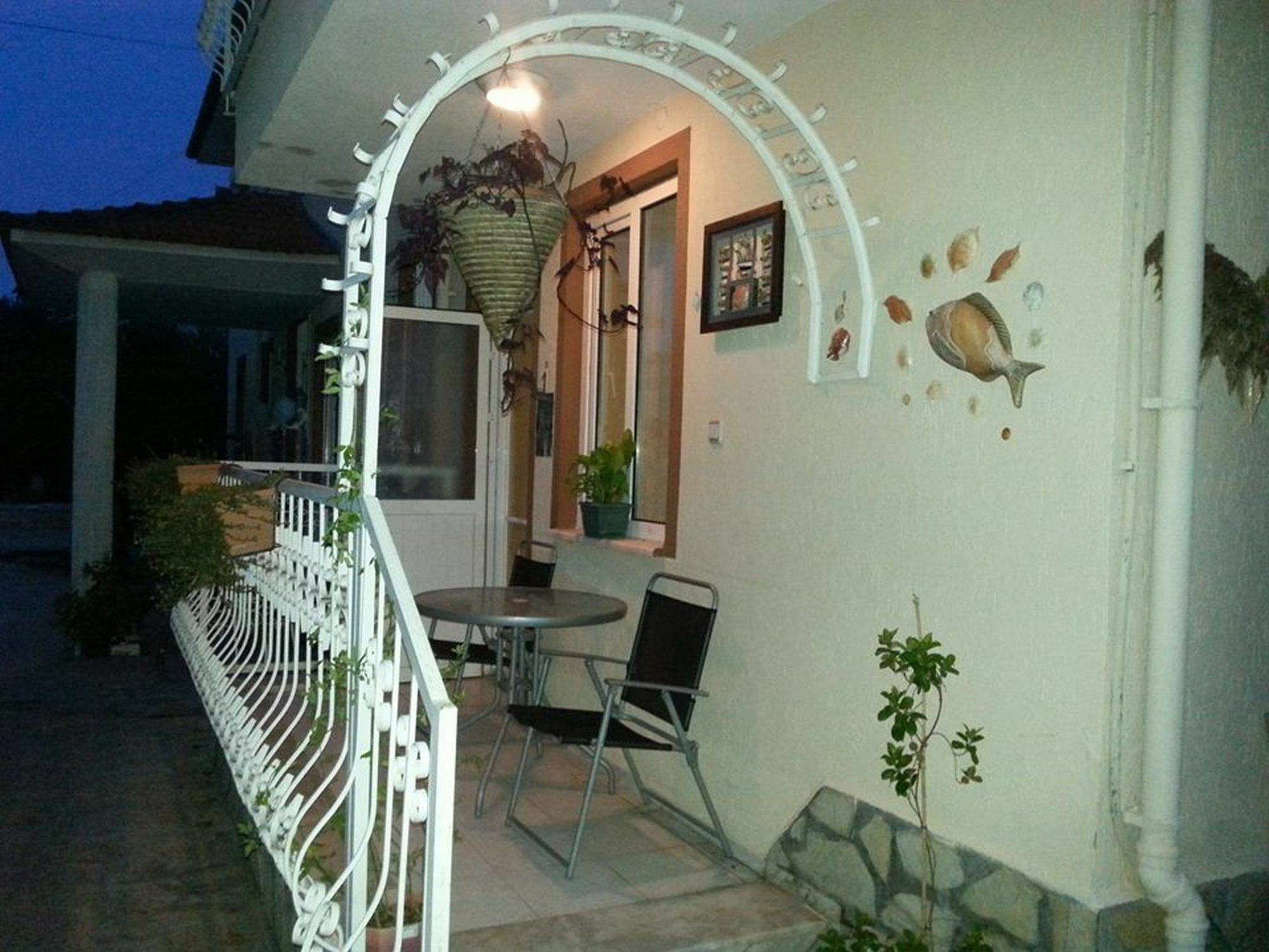 Gala Dalyan