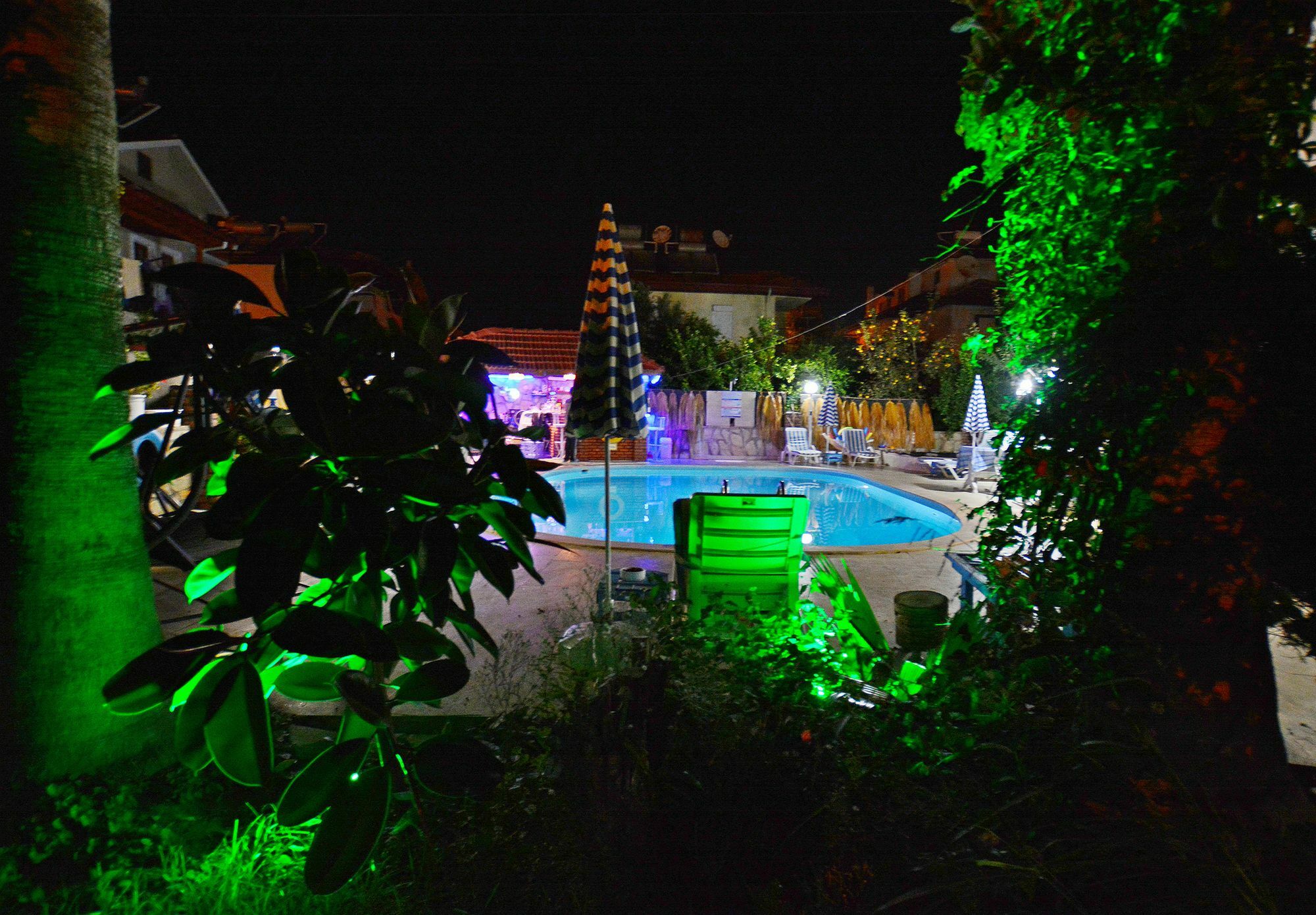 Gala Apartment