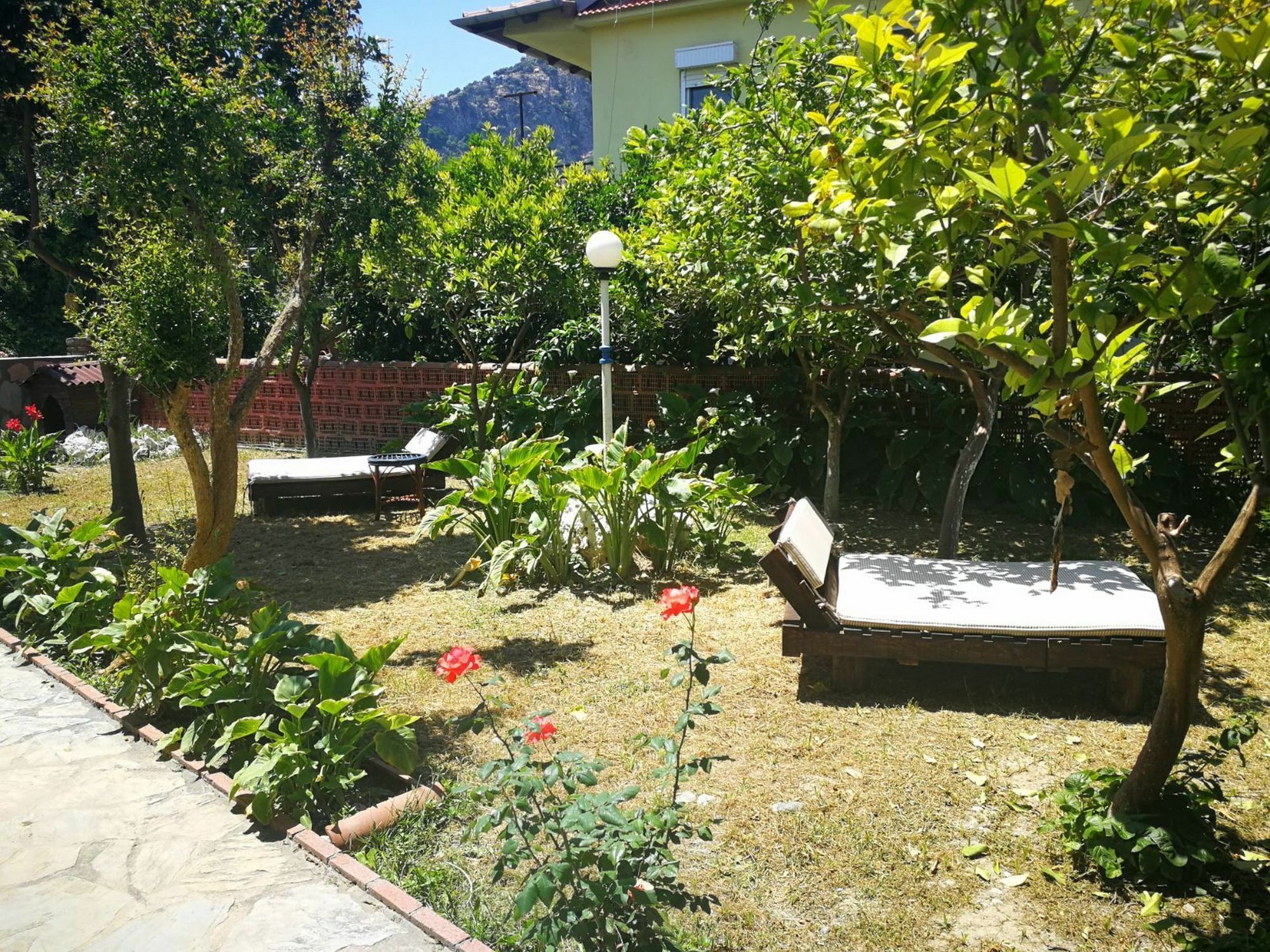 Gala Dalyan