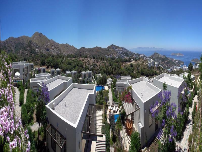 Villa Aegean Hills Gumusluk