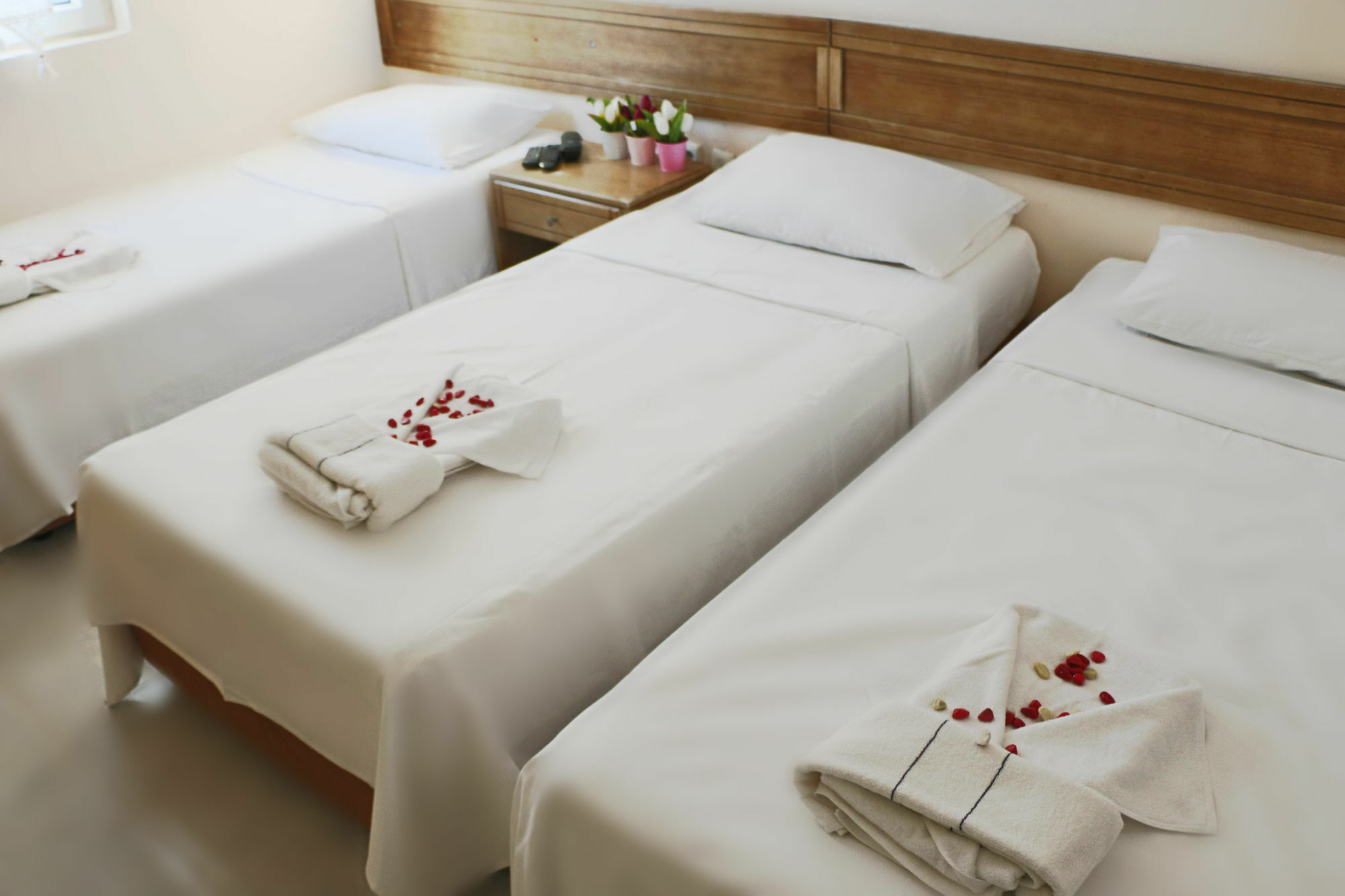 Hotel Casablanca 3*