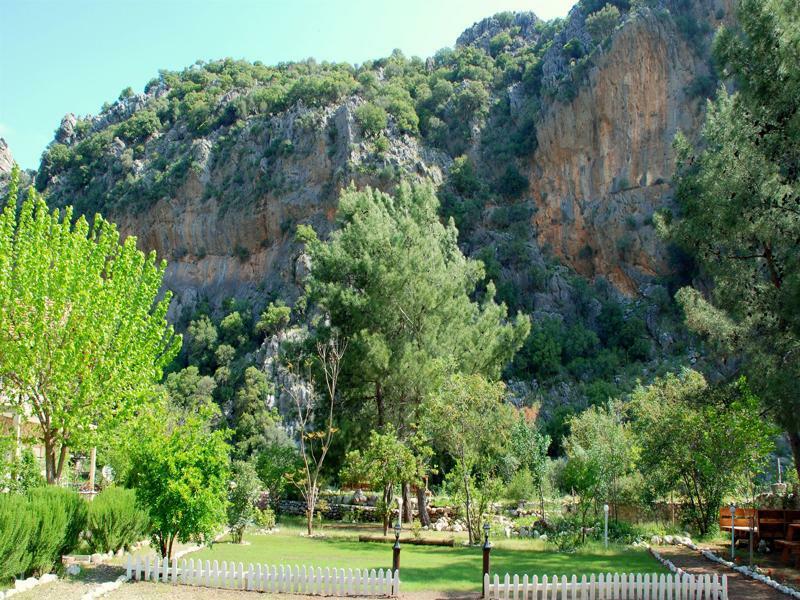 Dionysos Guest house Cirali