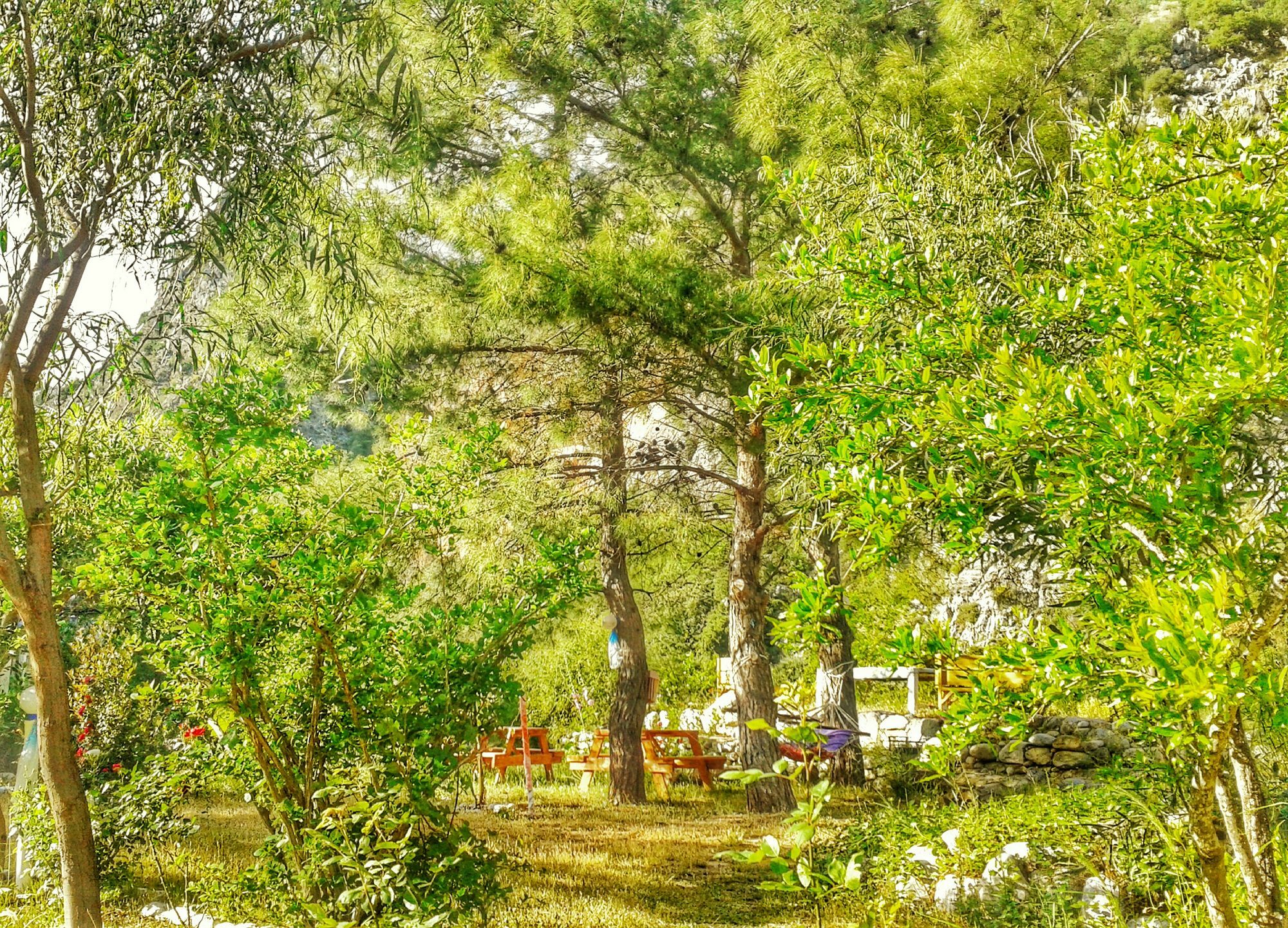 Guest house Dionysos 3*