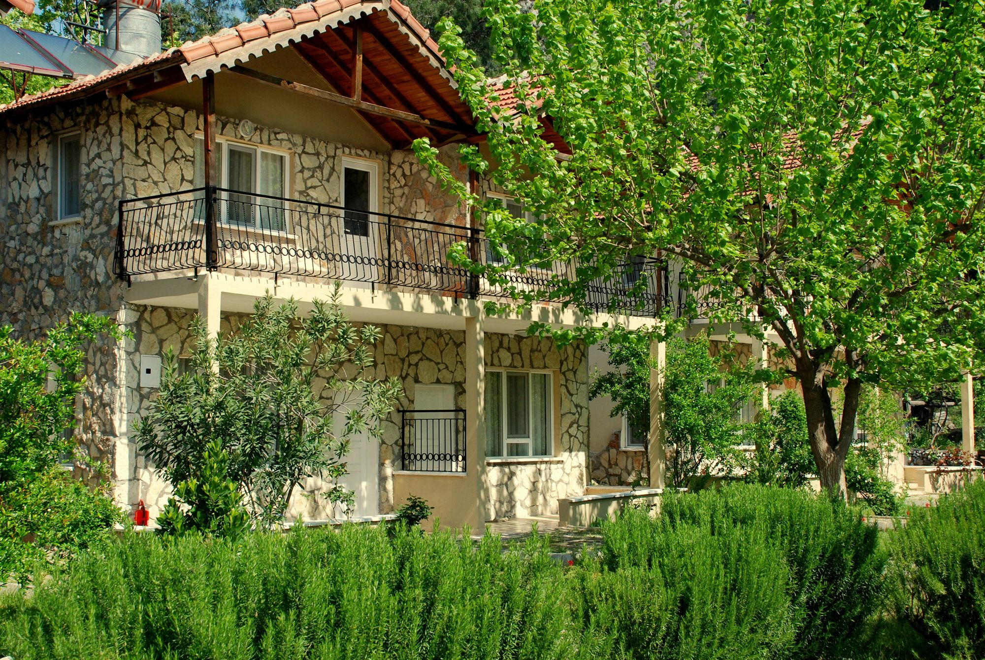 Guest house Dionysos Cirali