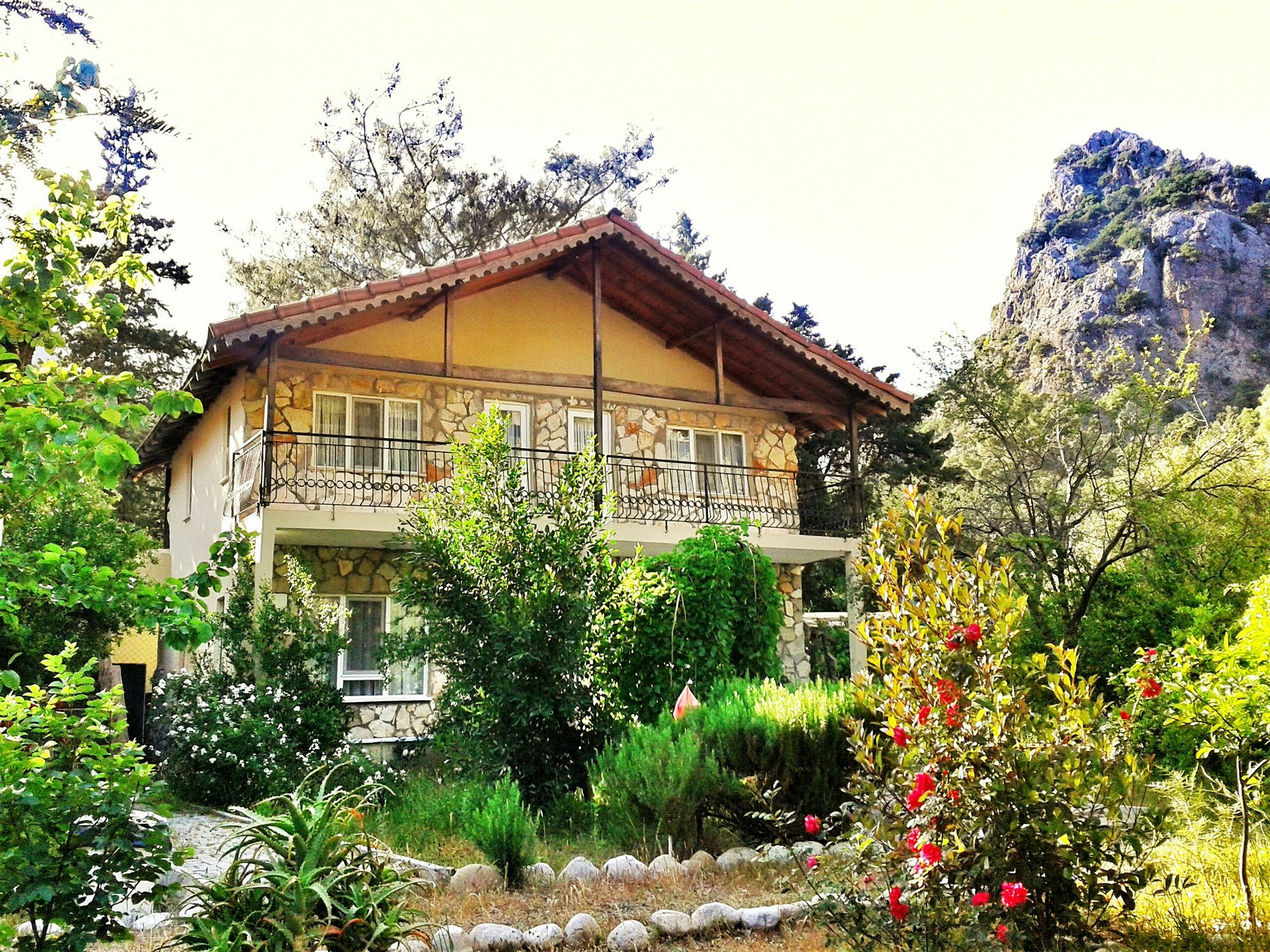 Dionysos 3*