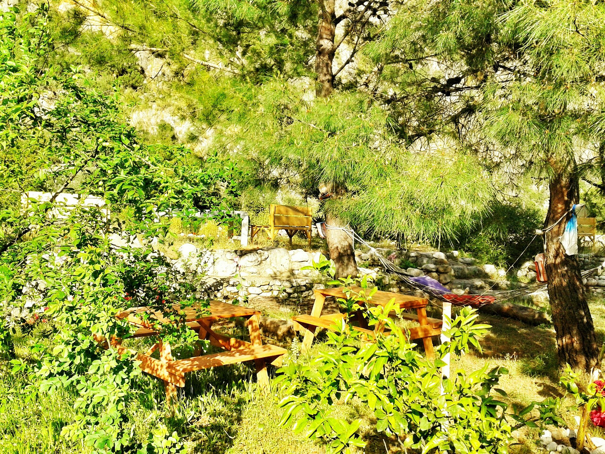 Dionysos 3*