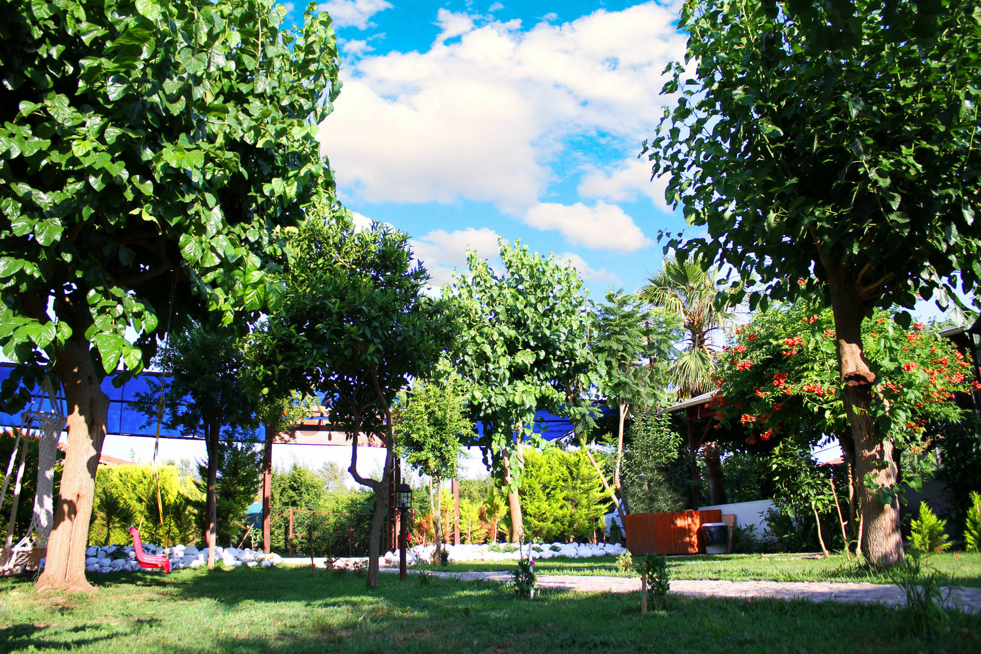 Guest house Alican 3*