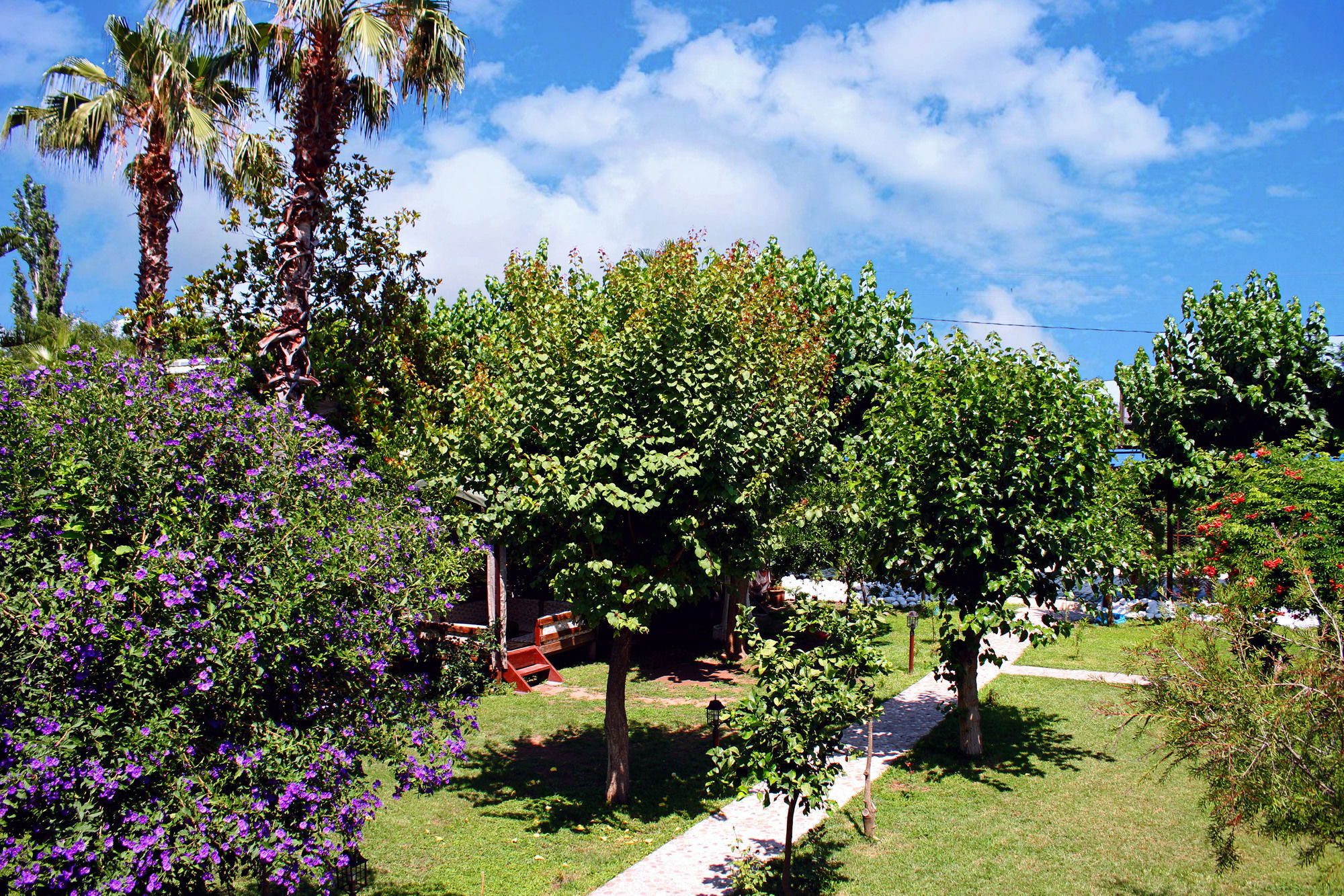 Alican Guest house