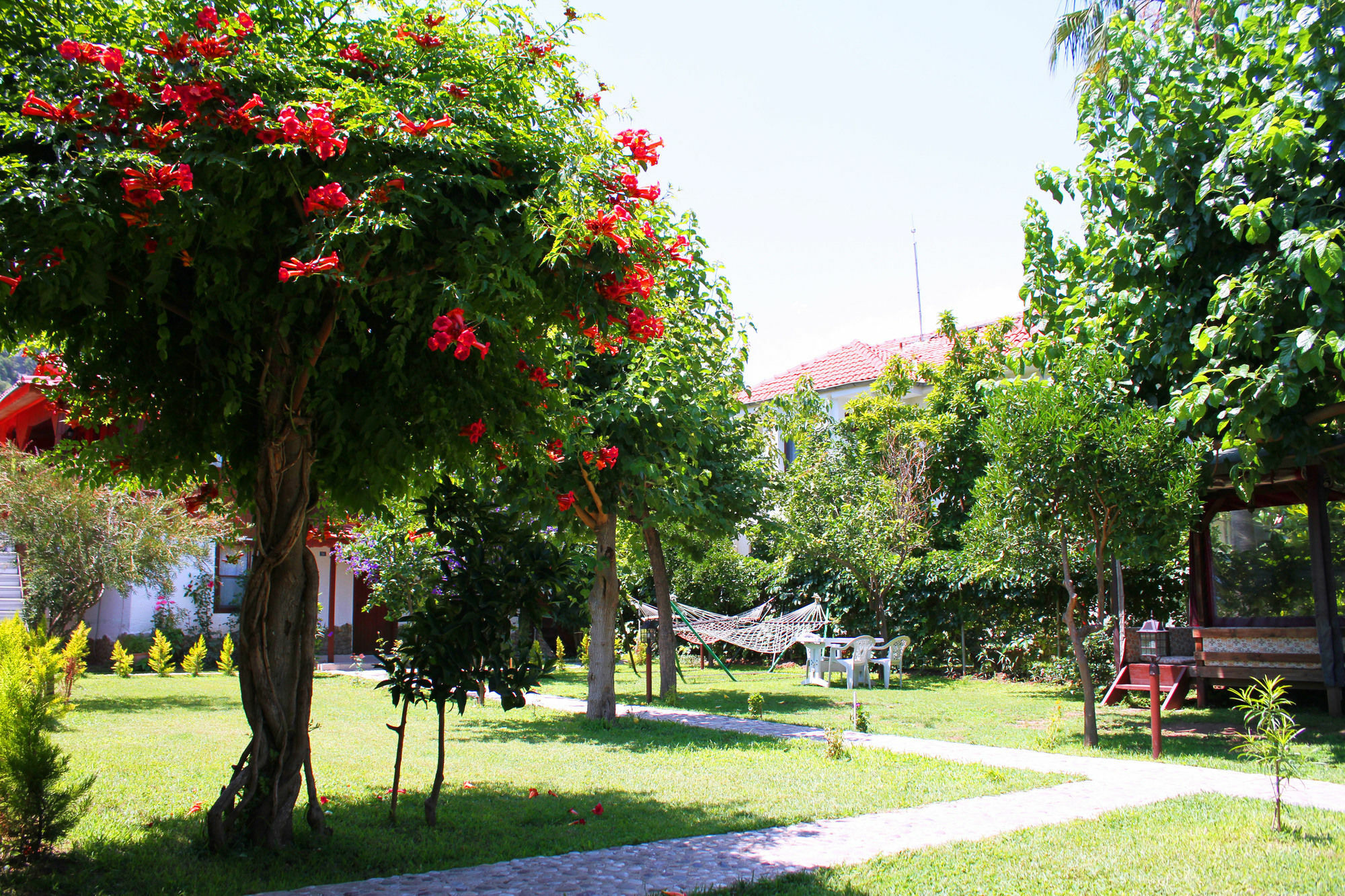Alican Guest house 3*