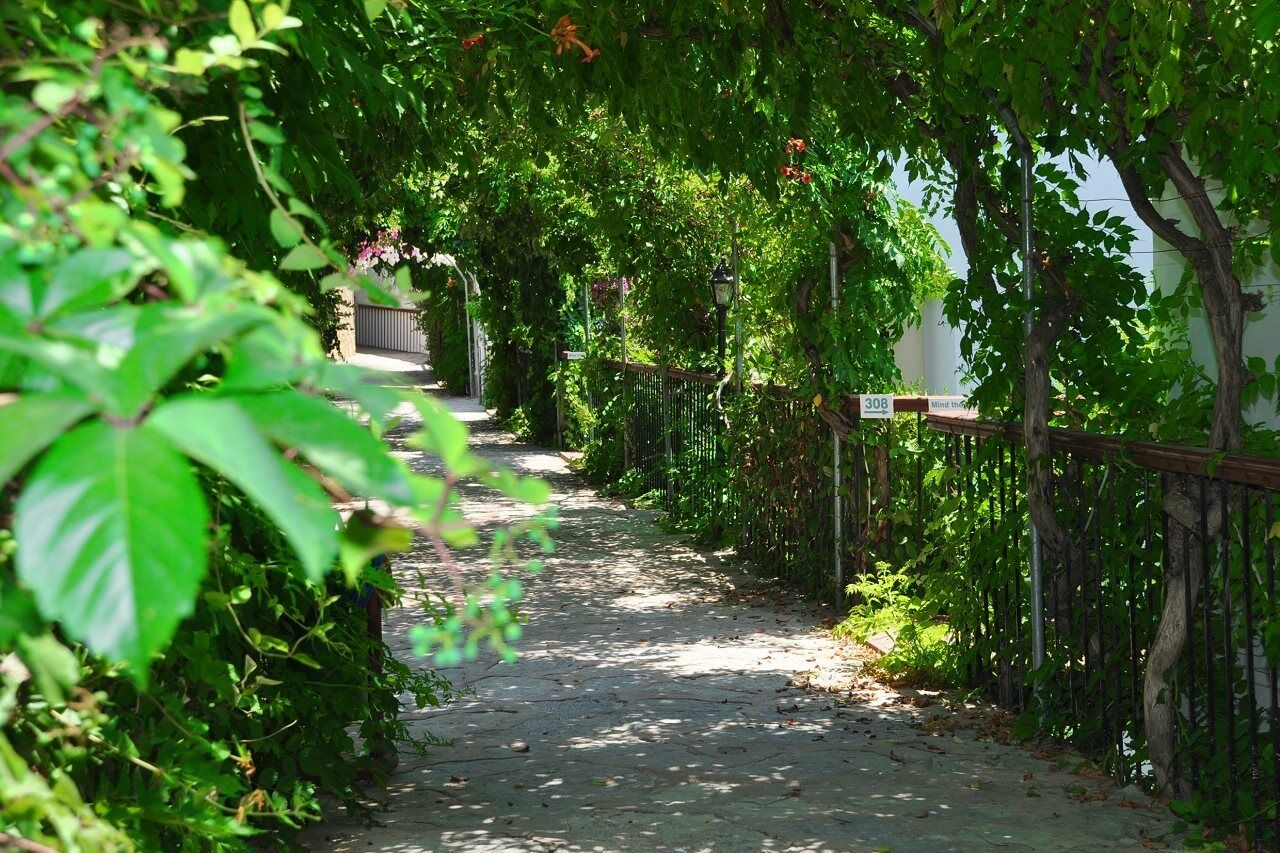 Siesta 3* Bodrum