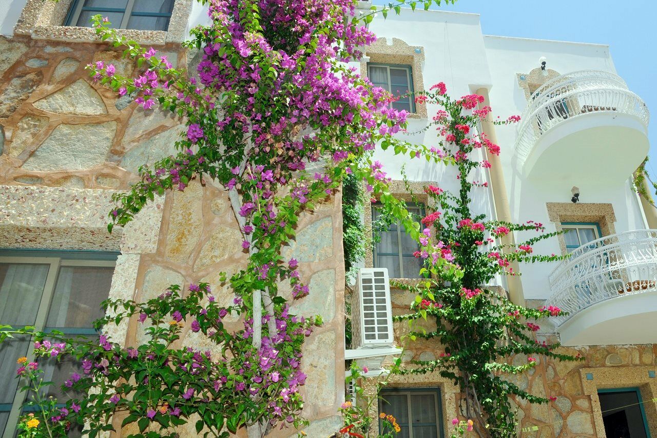 Siesta Aparthotel Bodrum