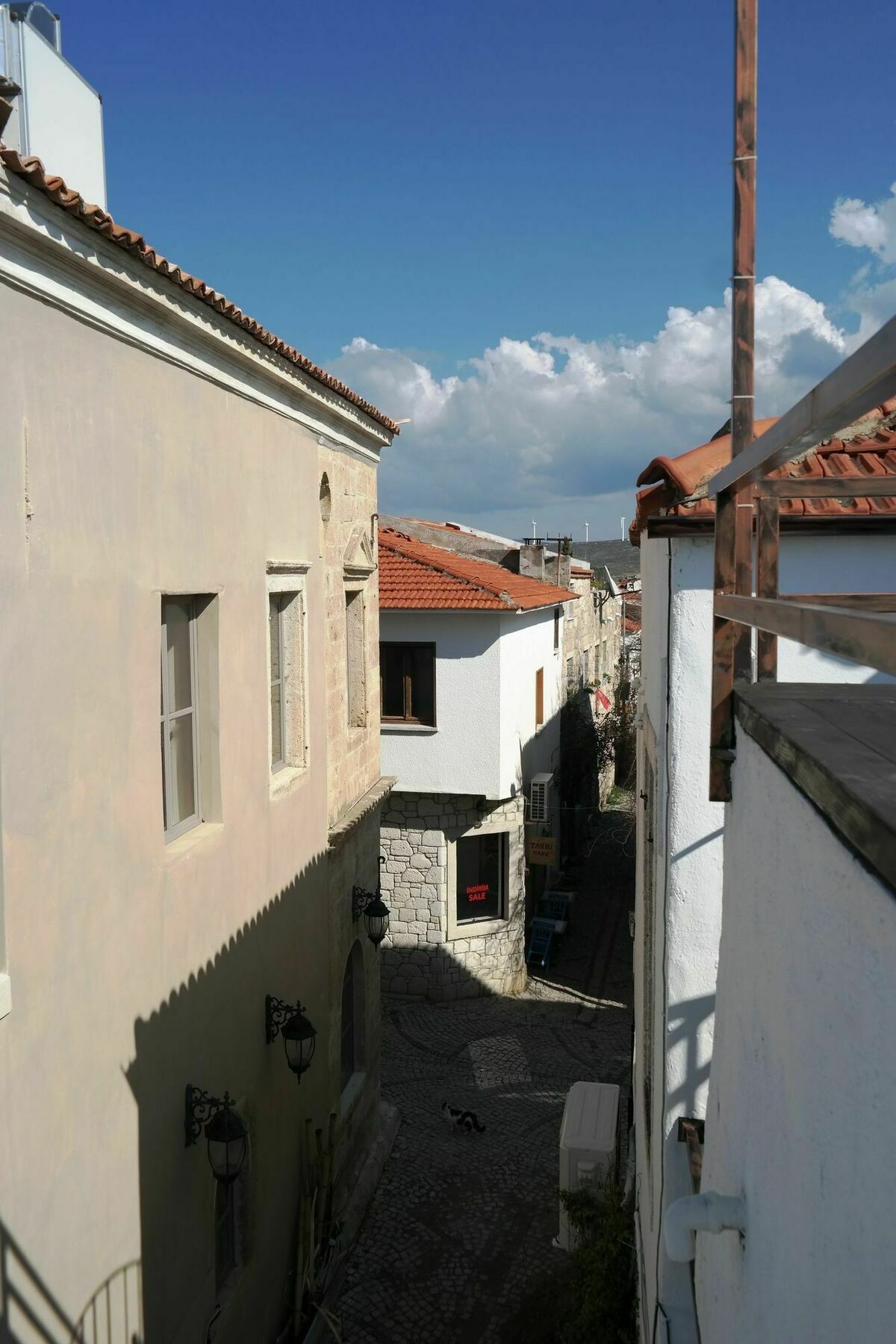 Pug Alacati