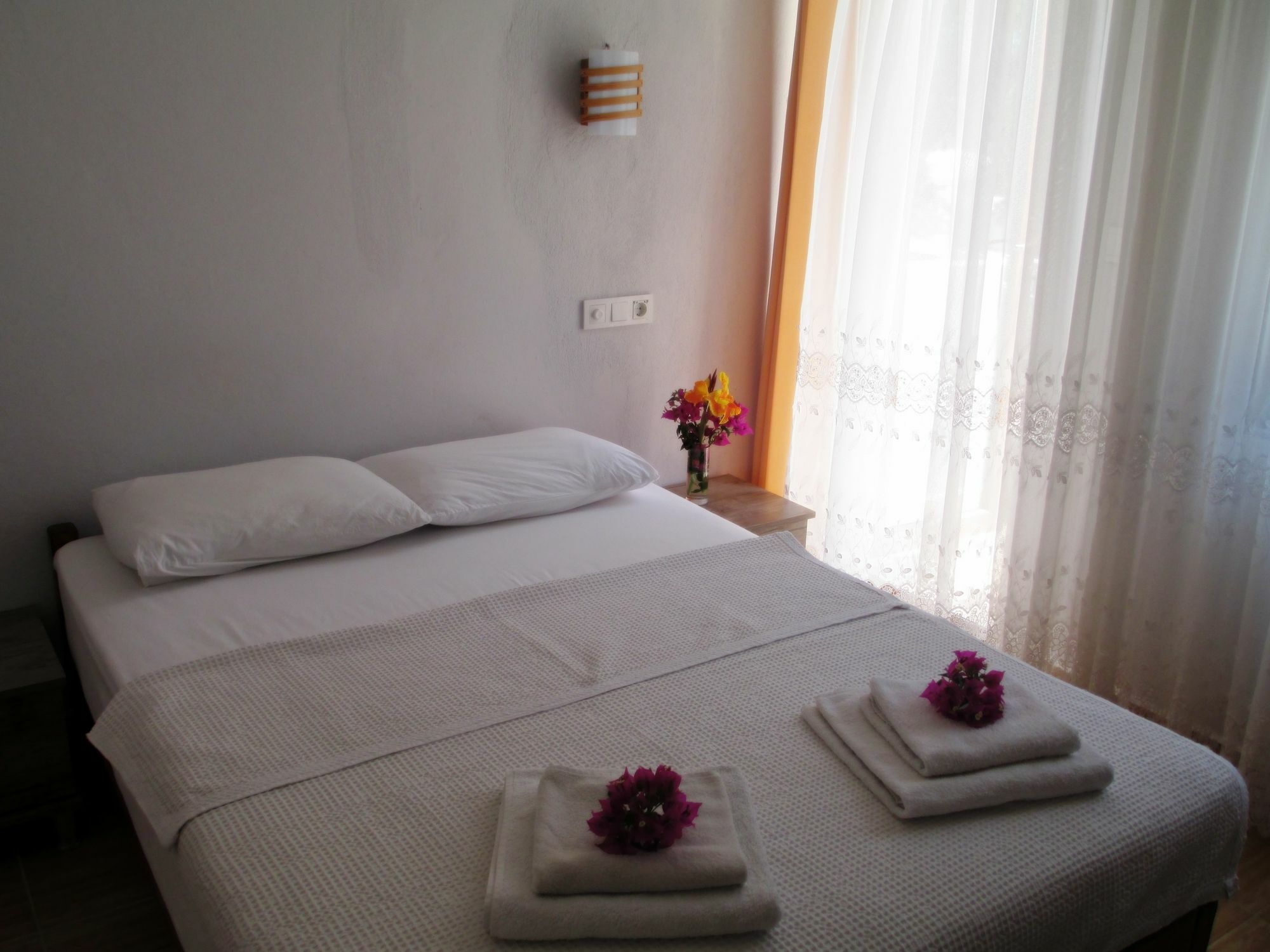 Bed & Breakfast Eucalyptus 2*