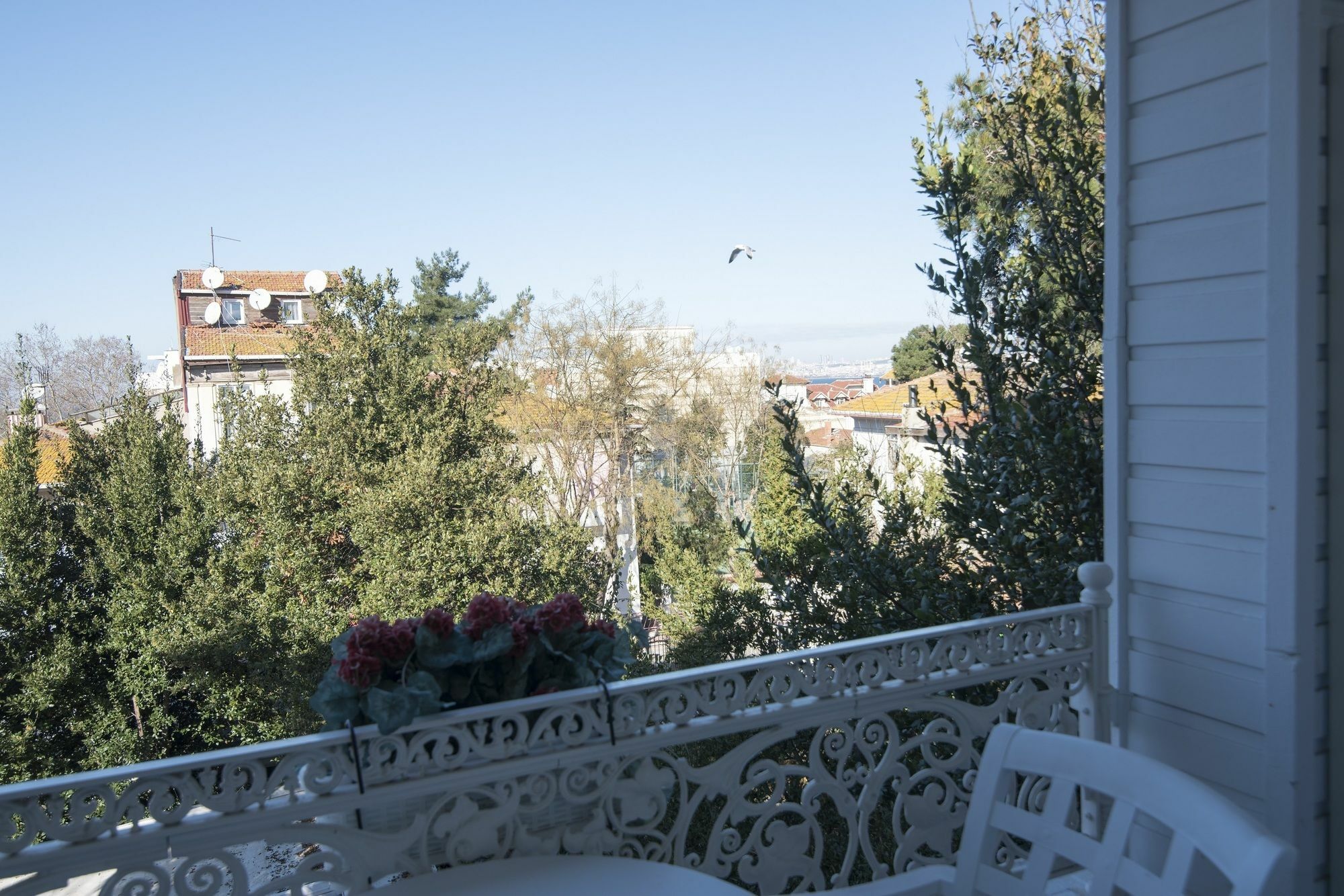 Hotel Buyukada Cankaya Adalar