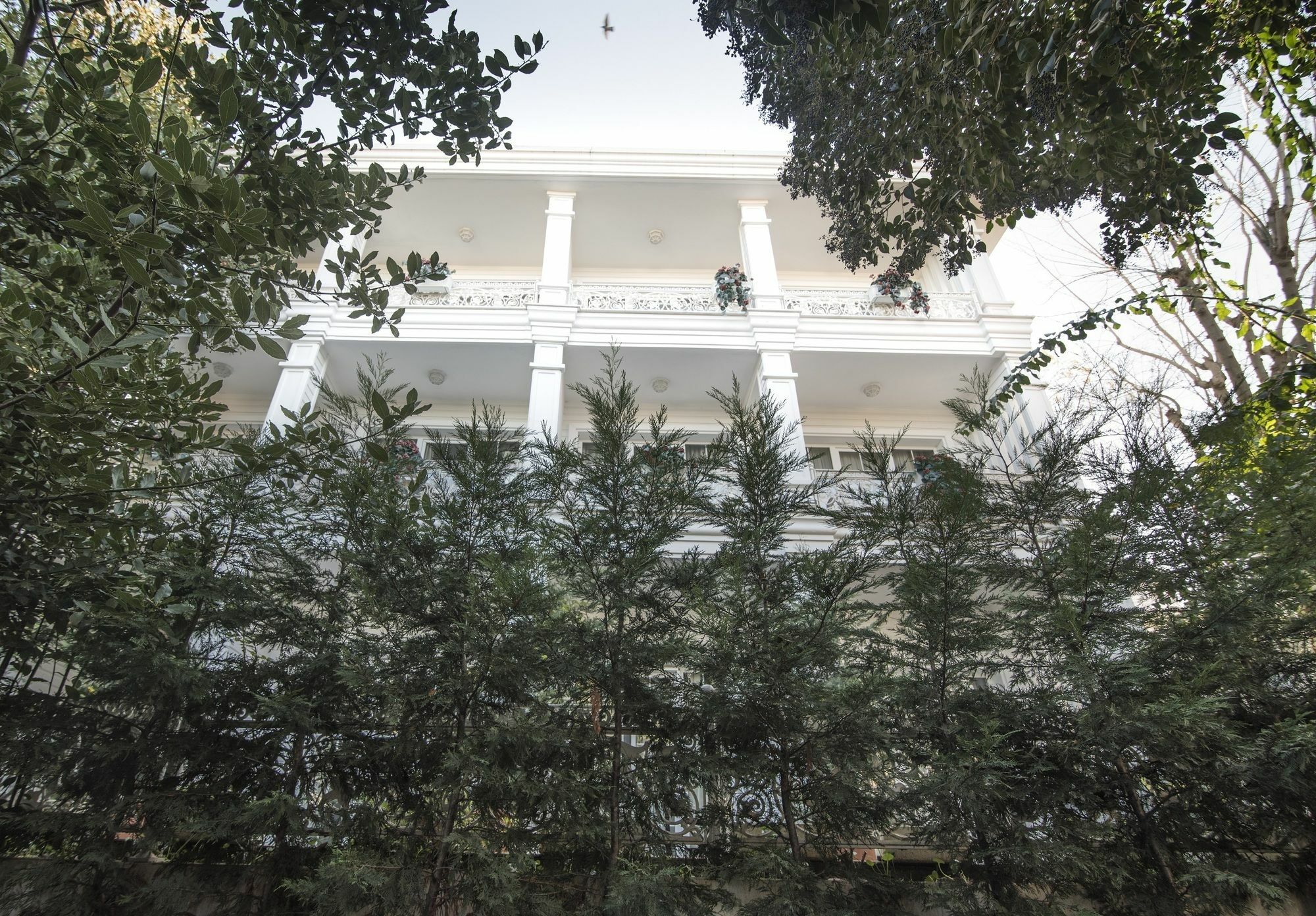Hotel Buyukada Cankaya 3*
