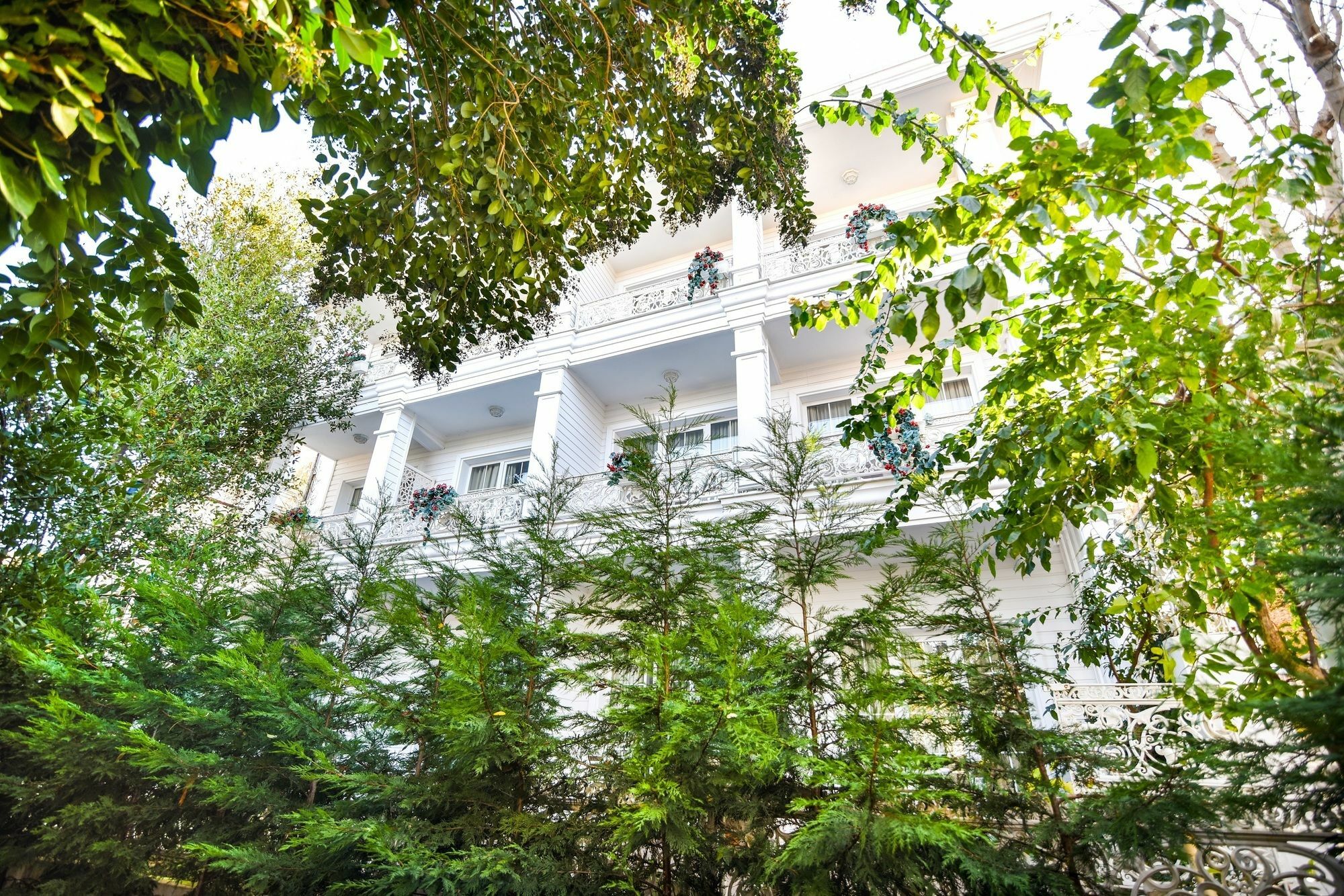 Buyukada Cankaya