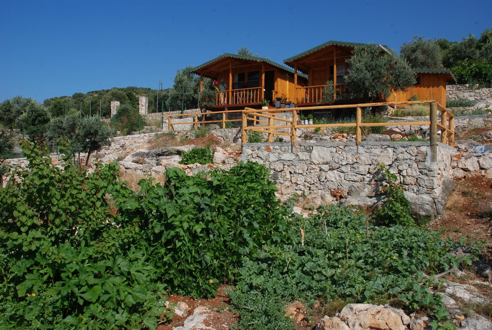 Hamarat Hotel