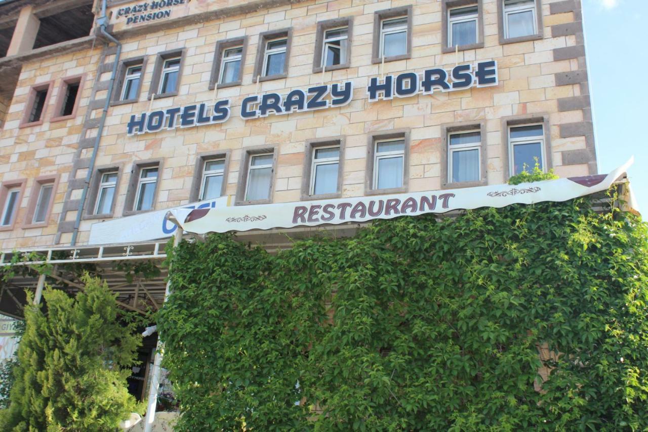 Hostel Crazy Horse *