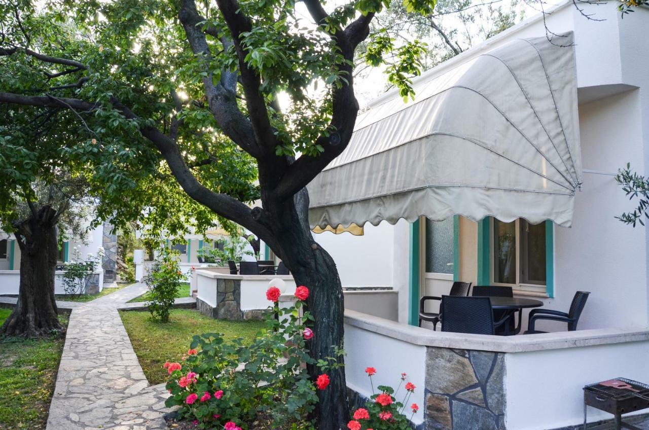 Motel Ergul 3*