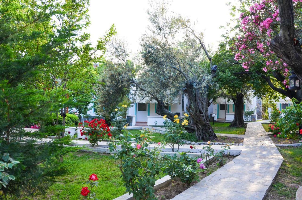 Ergul 3* Kucukkuyu