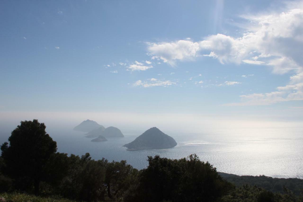 Simurg Evleri Olympos