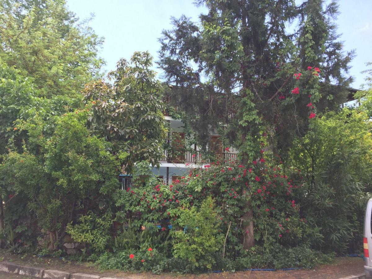 Beydagi Guest house 3*
