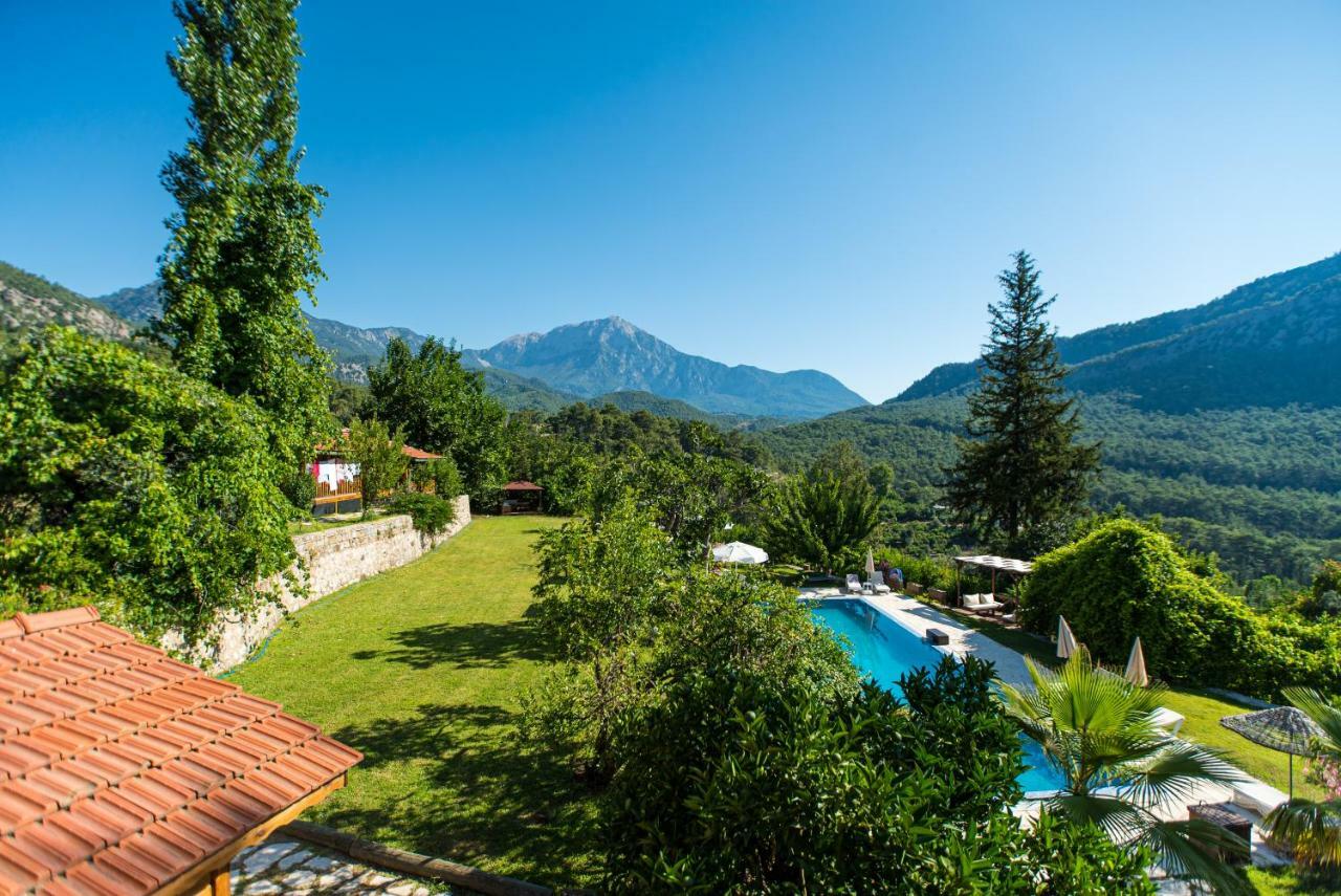 Lycia Nature House 2*