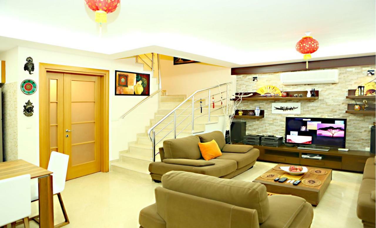 Paradise Town Premium