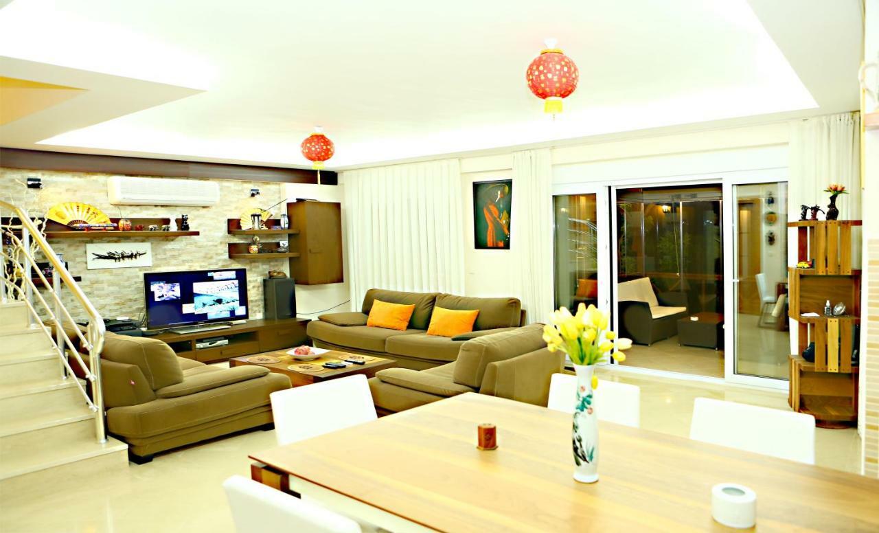 Paradise Town Premium