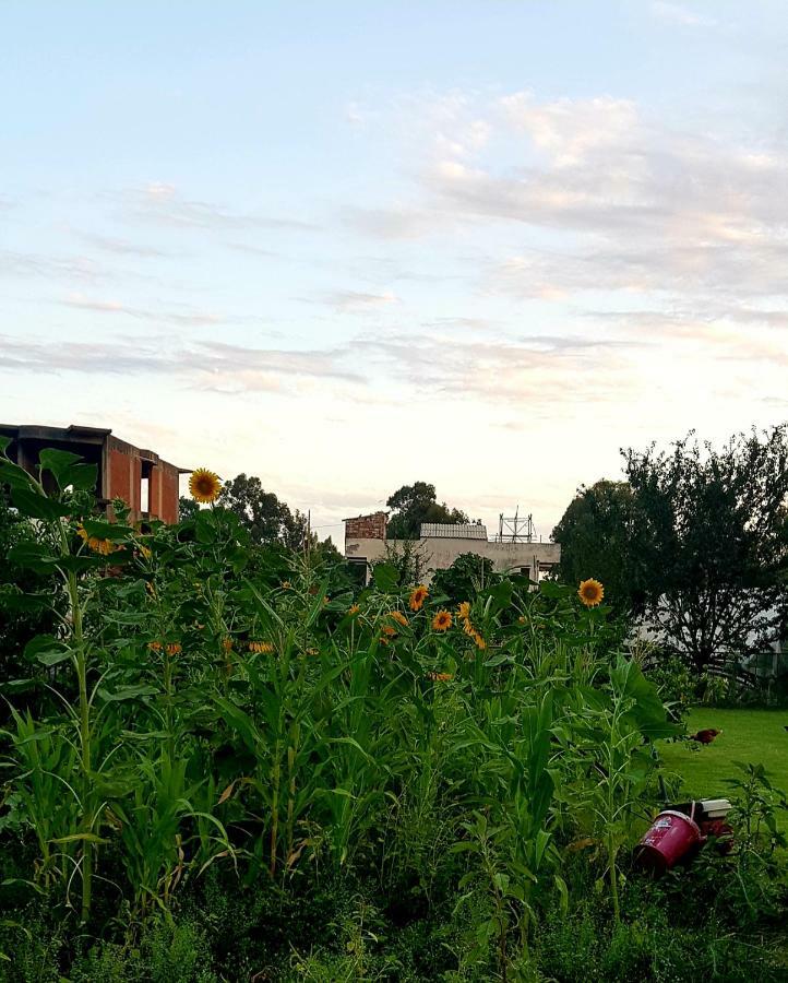 Rose Guest house