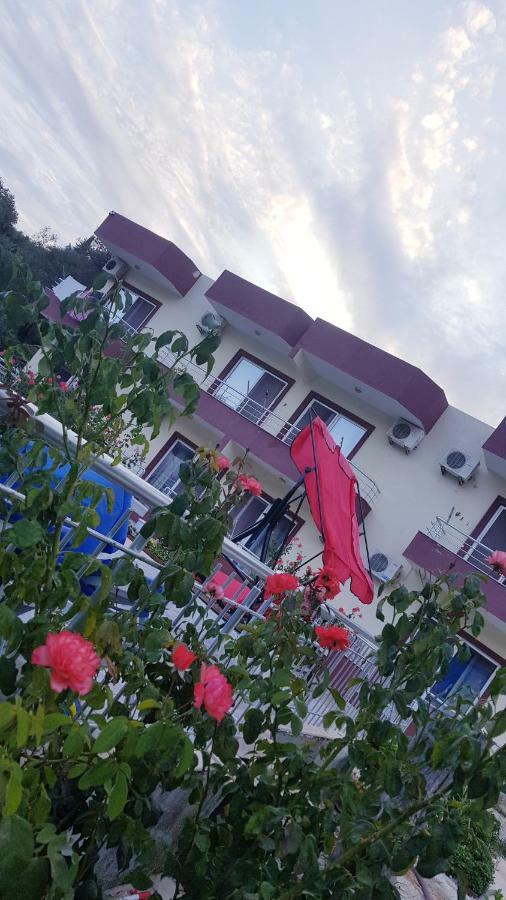 Rose Guest house 3*