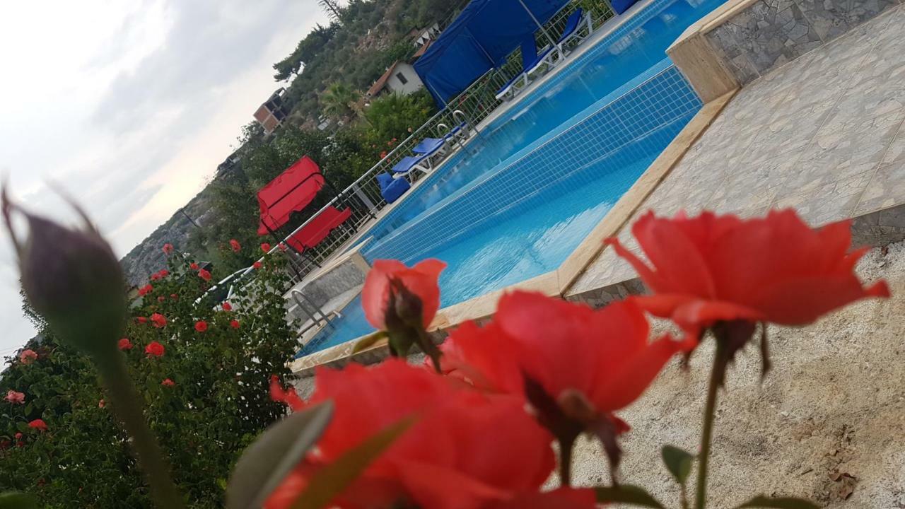 Rose Guest house 3*