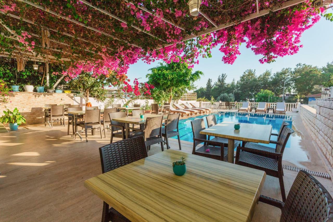 Hotel Koza 2*